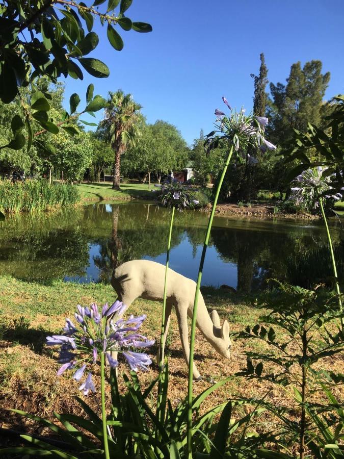 Apartment Eden Riebeek-Kasteel